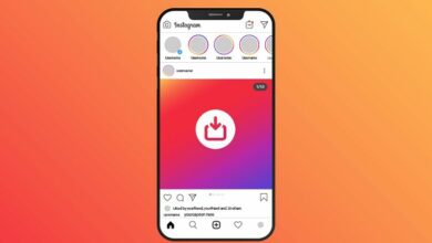 أفضل برنامج تنزيل فيديوهات من انستقرام SSSGram