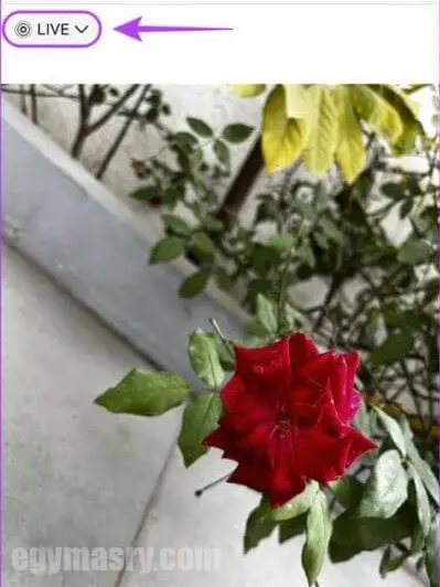 أفضل 7 إصلاحات لـ iPhone Cropping لا يعمل - iOS أفضل 7 طرق لإصلاح قص الصور على ايفون
