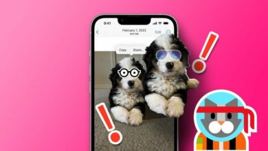 أفضل 7 طرق لإصلاح قص الصور على ايفون 2 7 Best Fixes for Photo Cutout Not Working on iPhone 1024x576 1 - أفضل 7 إصلاحات لعدم عمل قص الصور على iPhone