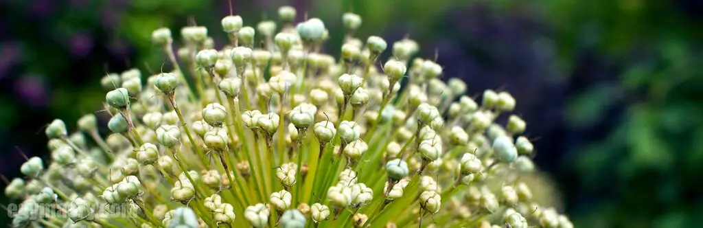 10 أفضل إضافات ووردبريس نوصي بها 98 10 أفضل إضافات ووردبريس نوصي بها