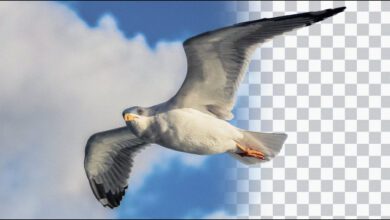 كيفية استخراج أي شخص أو كائن من صورة بدون برامج على Windows كيفية استخراج أي شخص أو كائن من صورة بدون برامج على windows