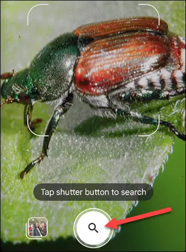 لماذا يجب عليك استخدام Google Lens: إليك 7 استخدامات رائعة 161 1685098826 472 لماذا يجب عليك استخدام Google Lens إليك 7 استخدامات رائعة- لماذا يجب عليك استخدام Google Lens: إليك 7 استخدامات رائعة