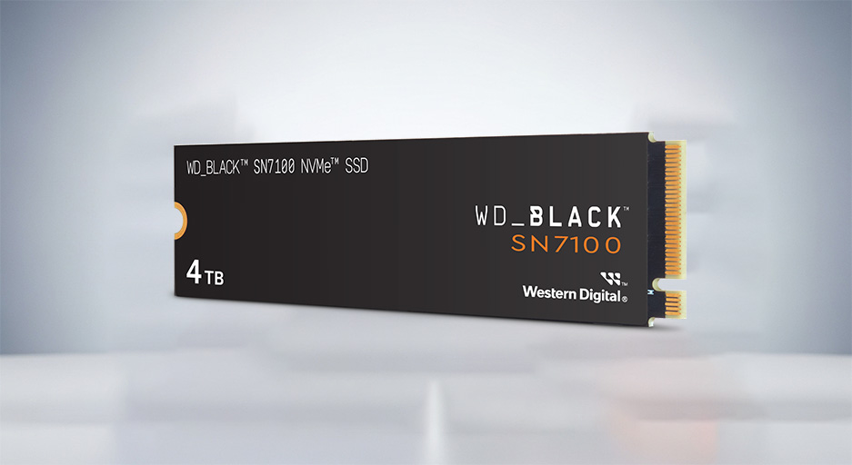 تجميع كمبيوتر ألعاب في 2025: دليلك النهائي من الصفر إلى الاحتراف 42 وحدة تخزين WD Black SN7100 4tb